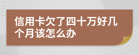 信用卡欠了四十万好几个月该怎么办