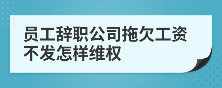 员工辞职公司拖欠工资不发怎样维权