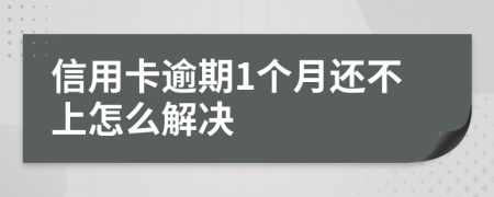 信用卡逾期1个月还不上怎么解决