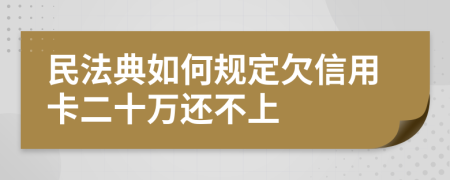 民法典如何规定欠信用卡二十万还不上