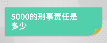 5000的刑事责任是多少