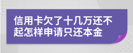 信用卡欠了十几万还不起怎样申请只还本金