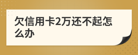 欠信用卡2万还不起怎么办