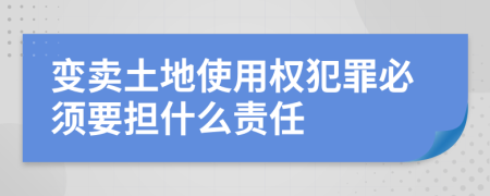 变卖土地使用权犯罪必须要担什么责任