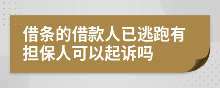 借条的借款人已逃跑有担保人可以起诉吗