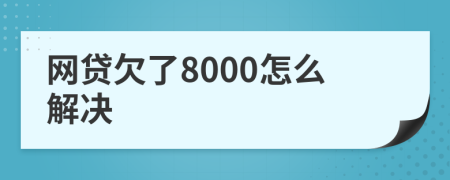 网贷欠了8000怎么解决