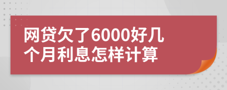 网贷欠了6000好几个月利息怎样计算