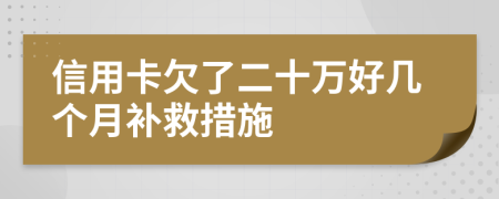 信用卡欠了二十万好几个月补救措施