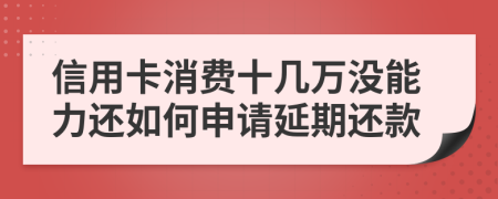 信用卡消费十几万没能力还如何申请延期还款