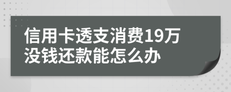 信用卡透支消费19万没钱还款能怎么办