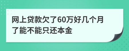 网上贷款欠了60万好几个月了能不能只还本金