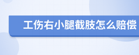 工伤右小腿截肢怎么赔偿
