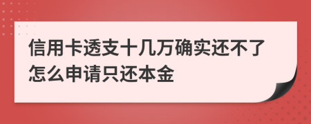 信用卡透支十几万确实还不了怎么申请只还本金