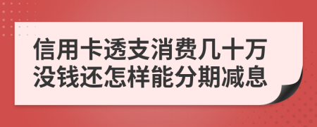 信用卡透支消费几十万没钱还怎样能分期减息