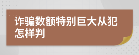 诈骗数额特别巨大从犯怎样判