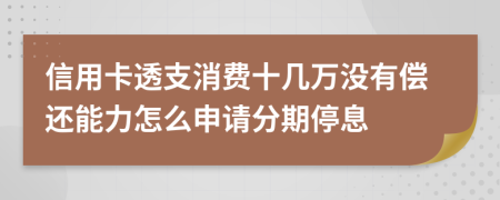 信用卡透支消费十几万没有偿还能力怎么申请分期停息