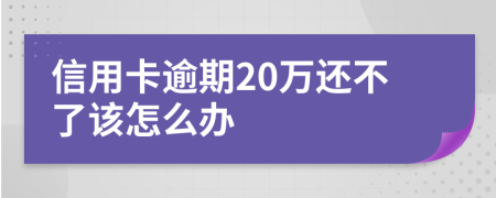 信用卡逾期20万还不了该怎么办