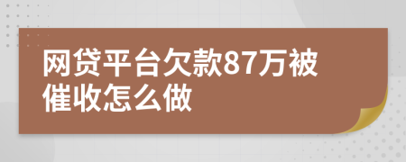 网贷平台欠款87万被催收怎么做