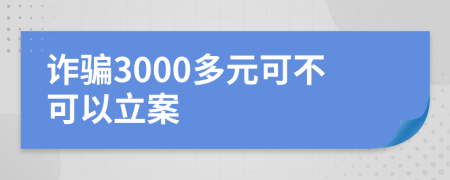 诈骗3000多元可不可以立案