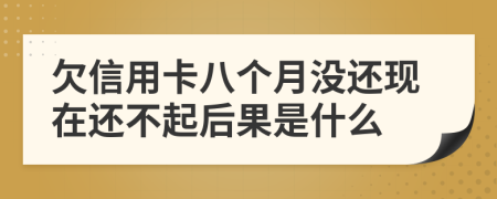 欠信用卡八个月没还现在还不起后果是什么