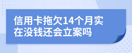 信用卡拖欠14个月实在没钱还会立案吗