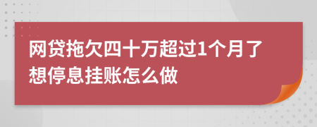 网贷拖欠四十万超过1个月了想停息挂账怎么做