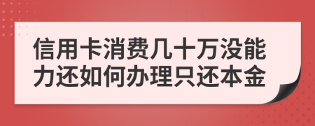 信用卡消费几十万没能力还如何办理只还本金