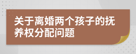 关于离婚两个孩子的抚养权分配问题