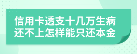 信用卡透支十几万生病还不上怎样能只还本金