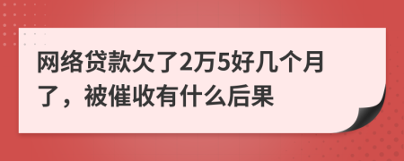 网络贷款欠了2万5好几个月了，被催收有什么后果