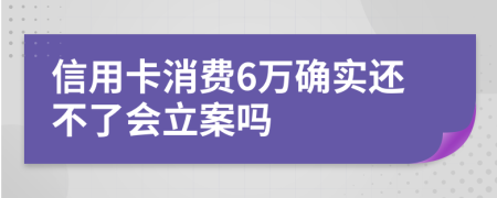 信用卡消费6万确实还不了会立案吗