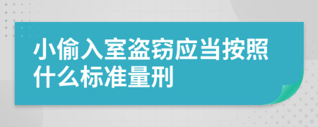 小偷入室盗窃应当按照什么标准量刑