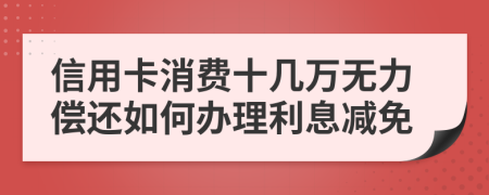 信用卡消费十几万无力偿还如何办理利息减免