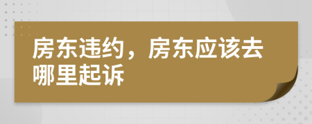 房东违约，房东应该去哪里起诉