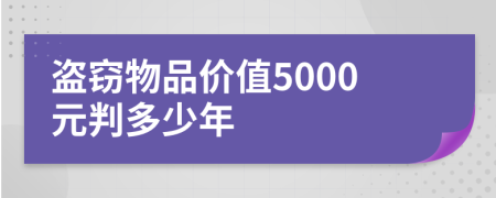 盗窃物品价值5000元判多少年