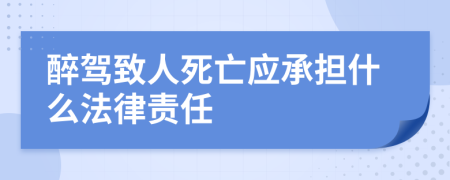 醉驾致人死亡应承担什么法律责任