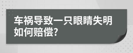 车祸导致一只眼睛失明如何赔偿?