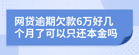 网贷逾期欠款6万好几个月了可以只还本金吗