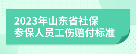 2023年山东省社保参保人员工伤赔付标准