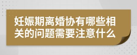 妊娠期离婚协有哪些相关的问题需要注意什么