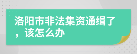 洛阳市非法集资通缉了，该怎么办