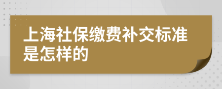 上海社保缴费补交标准是怎样的
