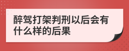 醉驾打架判刑以后会有什么样的后果