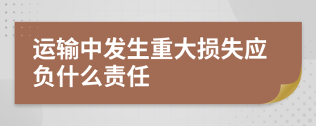 运输中发生重大损失应负什么责任