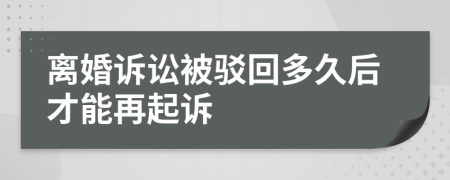 离婚诉讼被驳回多久后才能再起诉