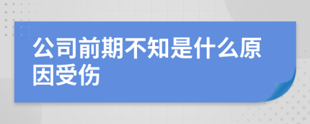 公司前期不知是什么原因受伤