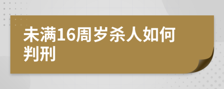 未满16周岁杀人如何判刑