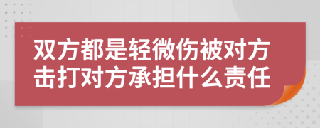 双方都是轻微伤被对方击打对方承担什么责任