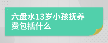 六盘水13岁小孩抚养费包括什么