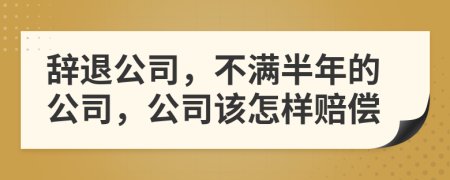 辞退公司，不满半年的公司，公司该怎样赔偿